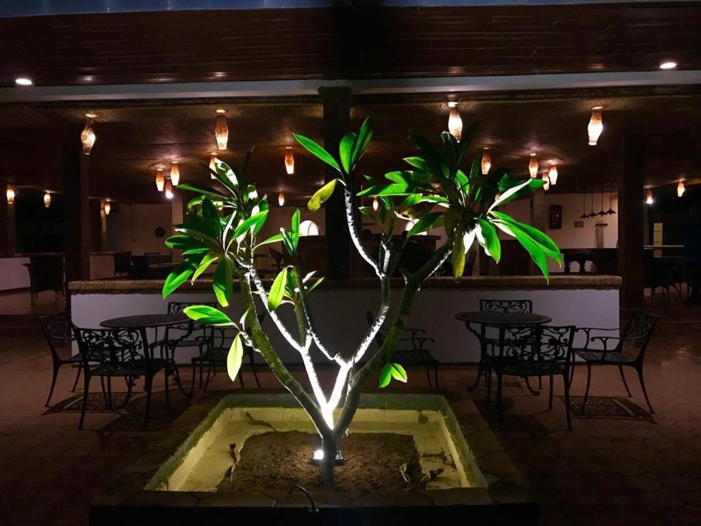 Peacock Beach Hotel Hambantota Esterno foto